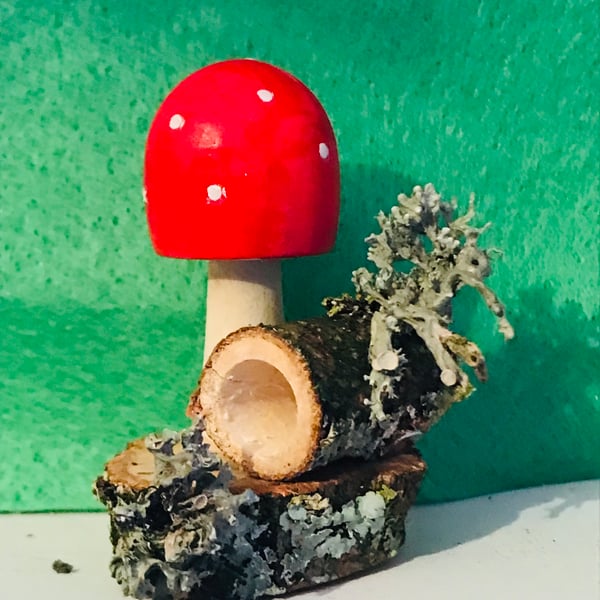 Jumping spider toadstool hide 