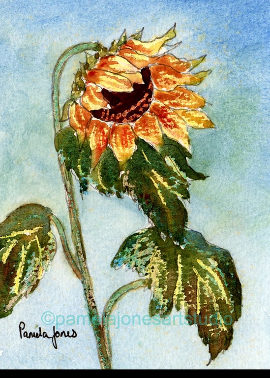 Sunflower, Original Watercolour in 9 x 7 '' Mount