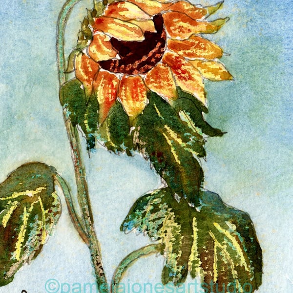 Sunflower, Original Watercolour in 9 x 7 '' Mount