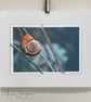 Fine Art Photograph with Embroidery - Snail on Grass Stalk - Image 3