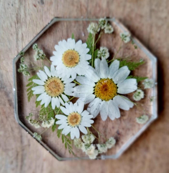 Butterfly & Bee Resin Art