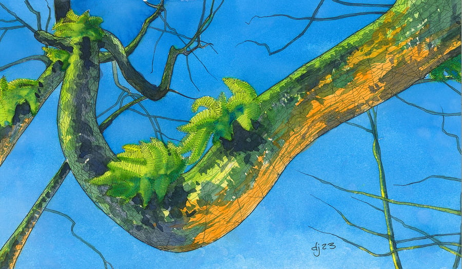 Colourful Tree Branch with Ferns in Pen & Ink & Watercolour A3 Print