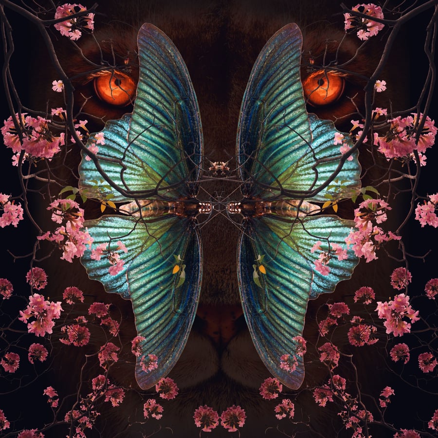 Lion and Butterfly Fine Art Print