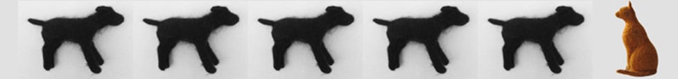 Black Dog and Ginger Cat