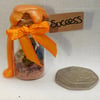 Mini spell Jar: Success