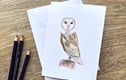 Cards