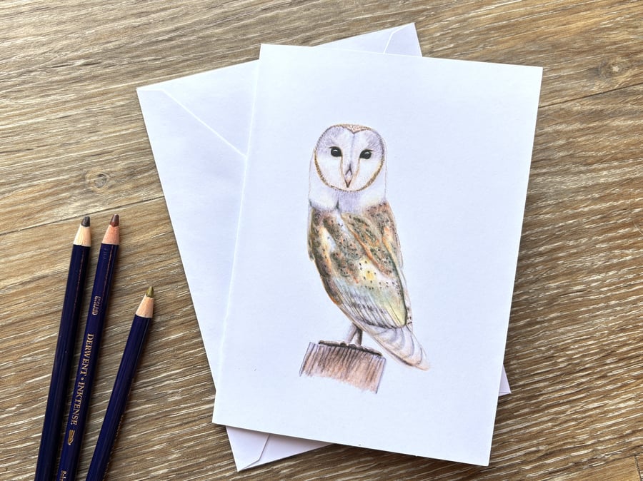 Barn Owl Greeting Card - Blank