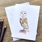 Barn Owl Greeting Card - Blank