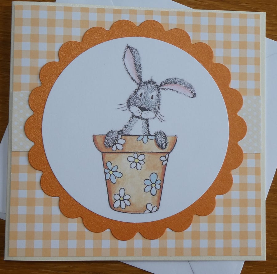 Blank Card - Rabbit in a Flowerpot - Good Luck, Birthday, Easter, Get Well