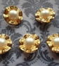 9 16" 15mm 24L Gold and Sprayed pearl Button x 4