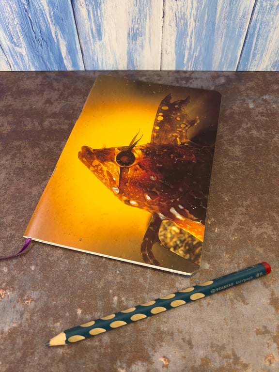 Notebook, Marine themed, A5 (ish), made from up-cycled and recycled materials.