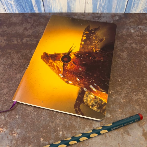 Notebook, Marine themed, A5 (ish), made from up-cycled and recycled materials.