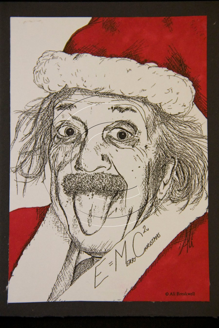 Einstein Santa