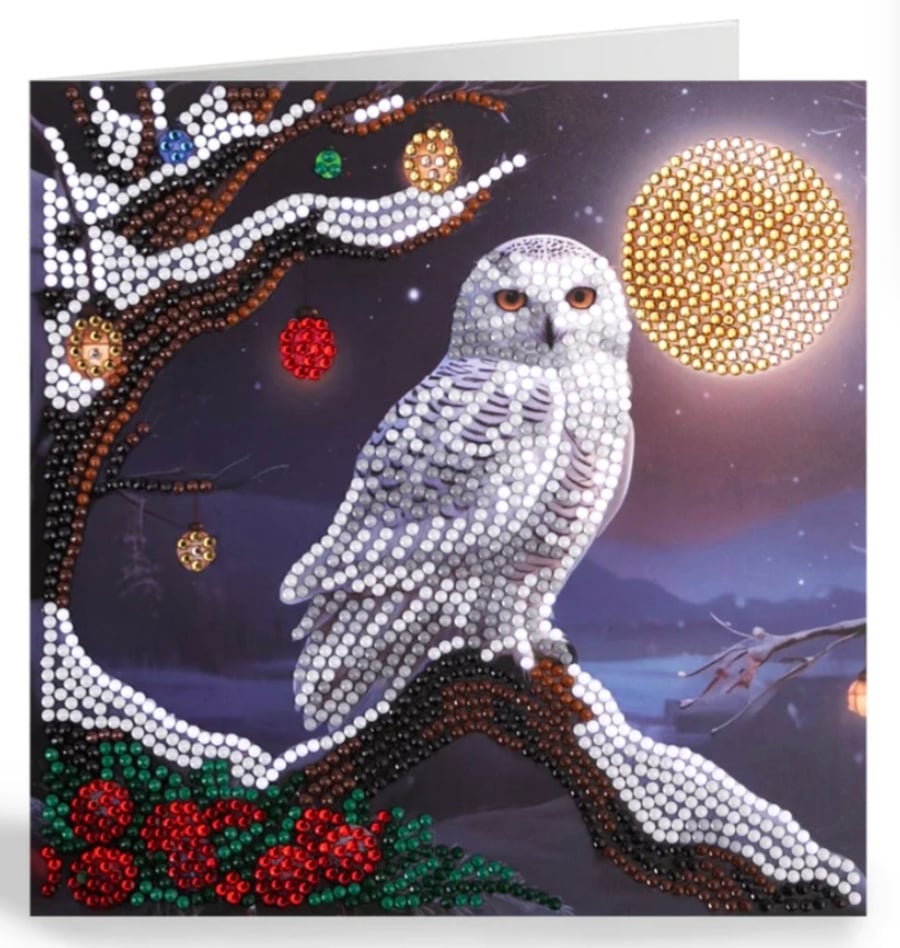 Snowy owl craft buddy diamond painting kit