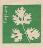 Parsley herb mini linocut print - Image 1