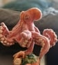 Needle felted Octopus in natural background of starfish and shells - Image 3