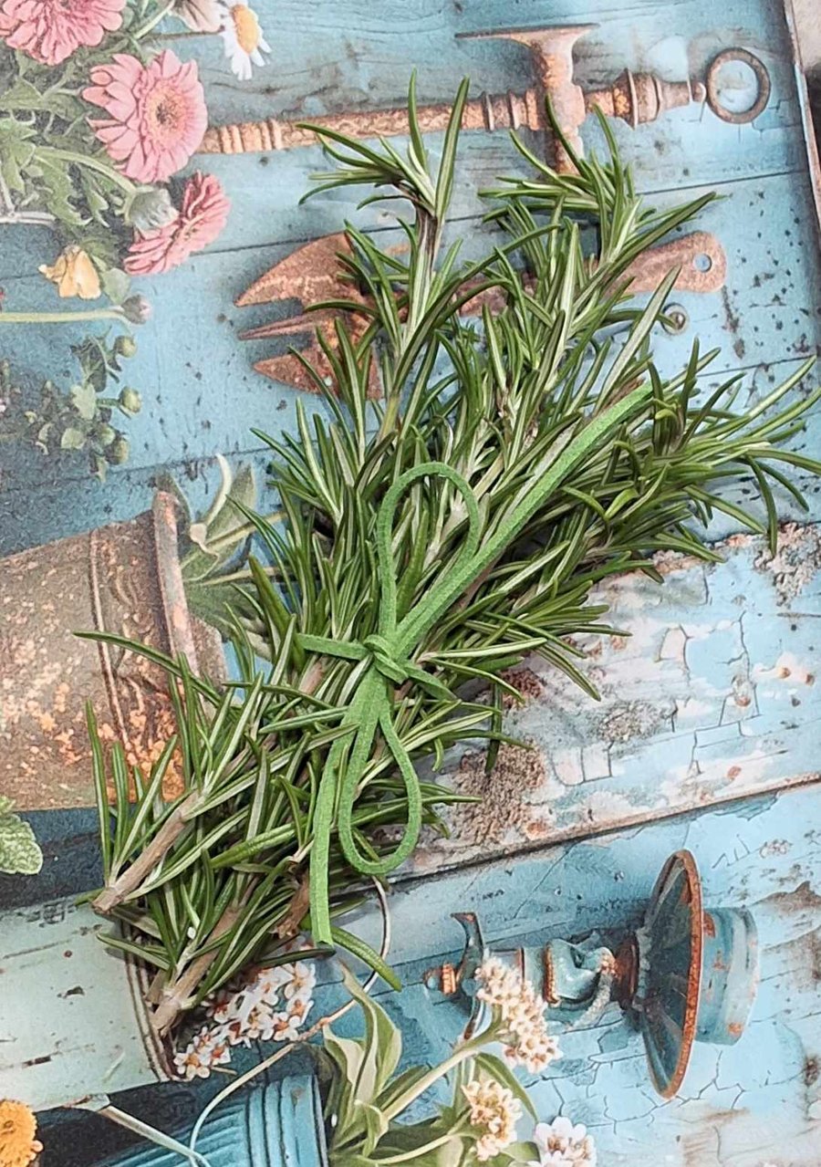 Freshly cut rosemary.