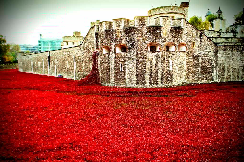 Tower Of London Poppy Red Poppies Photograph Print