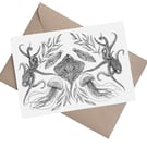 Coastal Symmetry - Ray: A5 Blank Greetings Card 