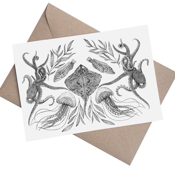 Coastal Symmetry - Ray: A5 Blank Greetings Card 