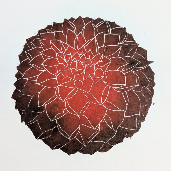 Pom-pom Dahlia