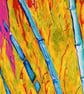 Framed Bamboo Oil Painting Colourful Maximalist Art - Image 3