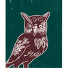 Long-eared Owl A3 poster-print (maroon-dark green)