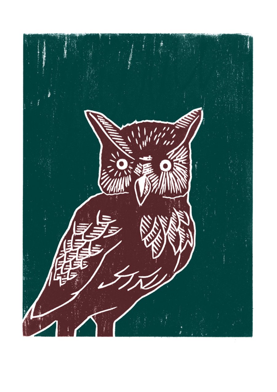 Long-eared Owl A3 poster-print (maroon-dark green)