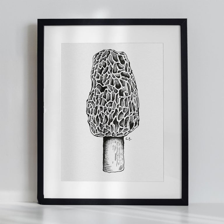 Black & White Botanical Morel Mushroom Art Print Hand-Drawn A5 Illustration
