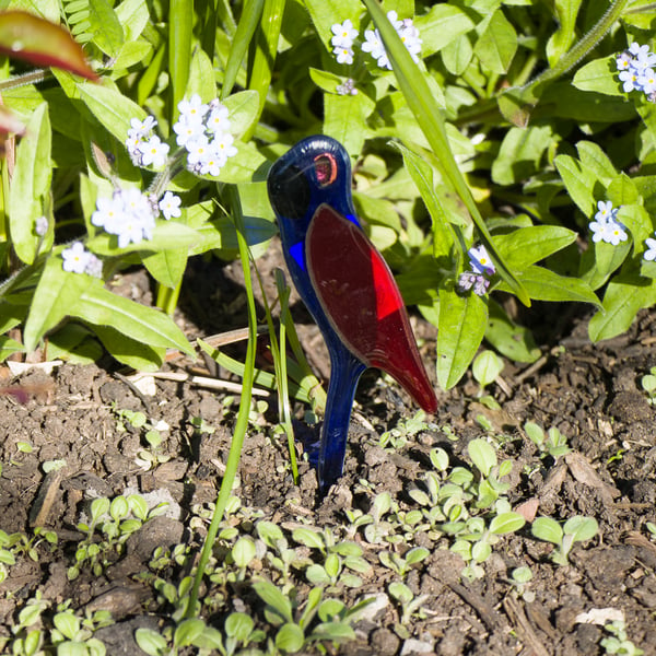  Blue & Red Pot Parrot in Fused Glass - 6115