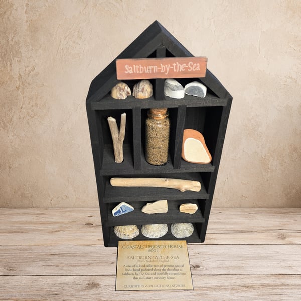 Coastal Curiosity House 001 - Saltburn-by-the-Sea Coastal Finds
