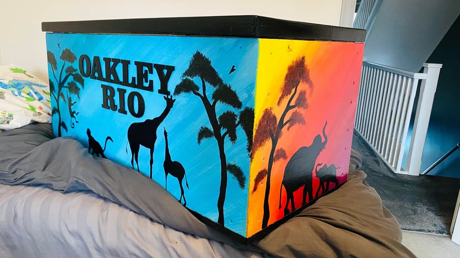 Custom painted toy box