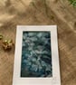 Wet Cyanotype Leaves - Image 3