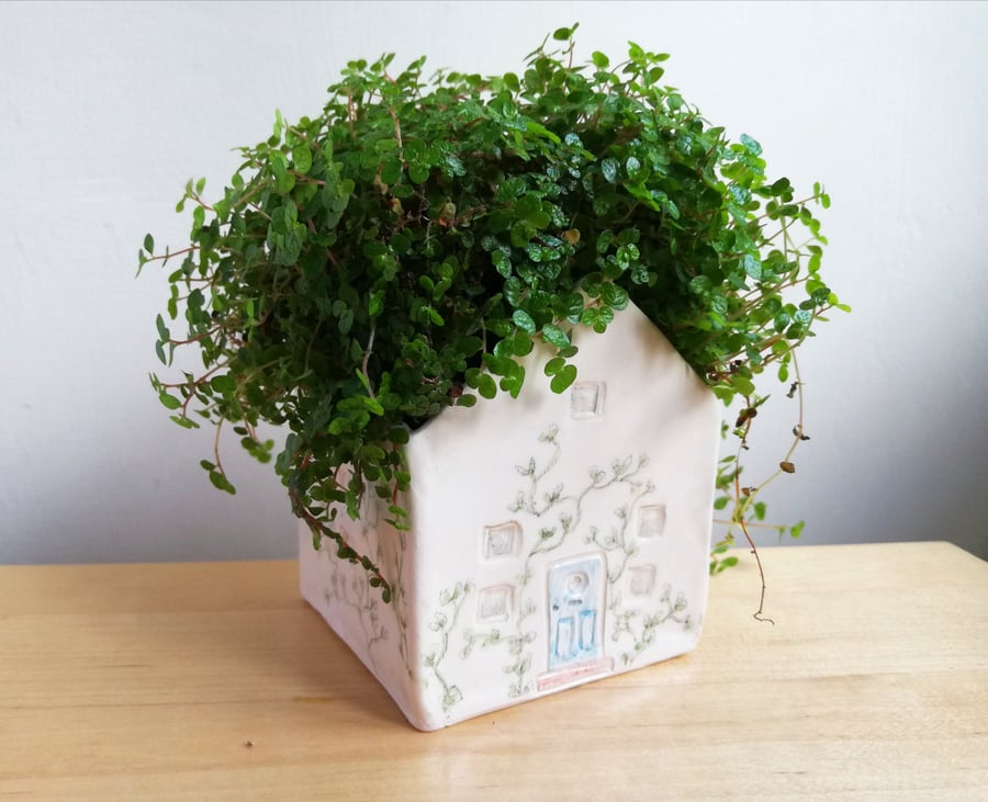 Ceramic succulent plant pot - house planter handmade pottery gift