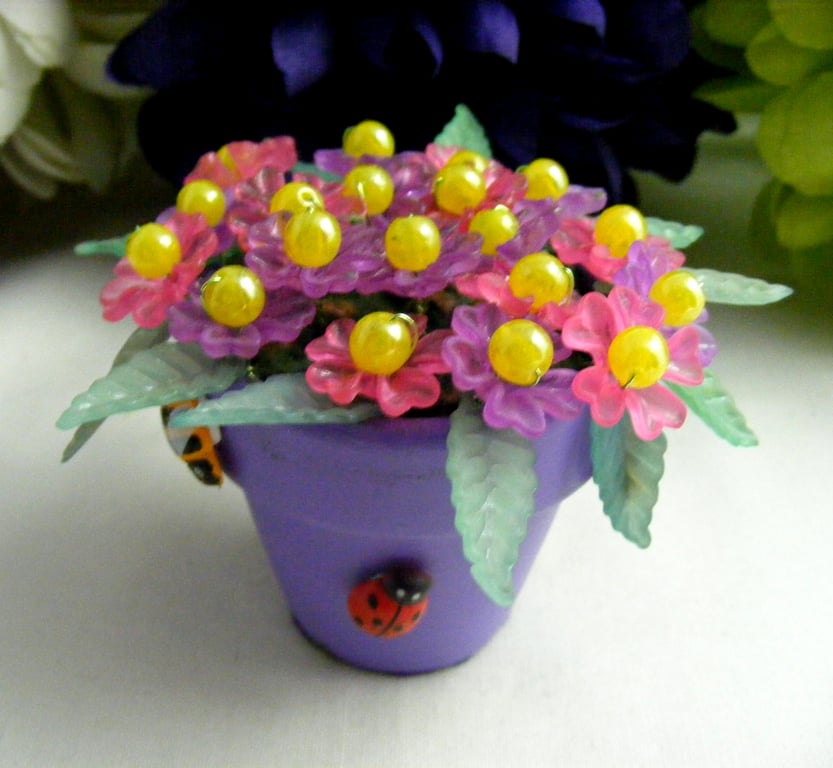 Mixed Aster Flowers in a Plant Pot.