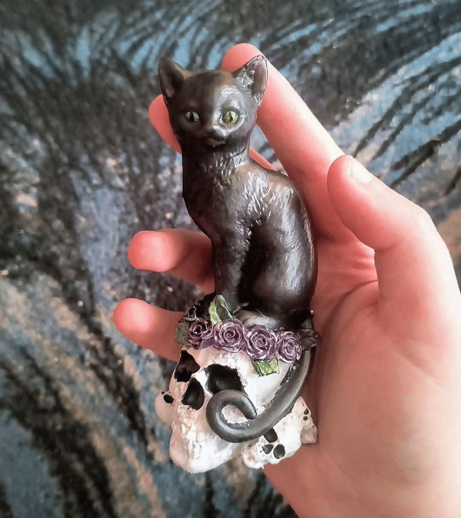 Black cat on a skull