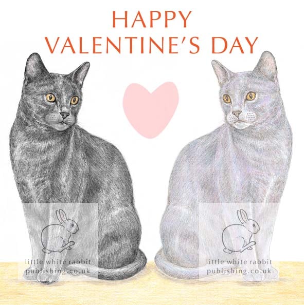 Cats - Valentine Card