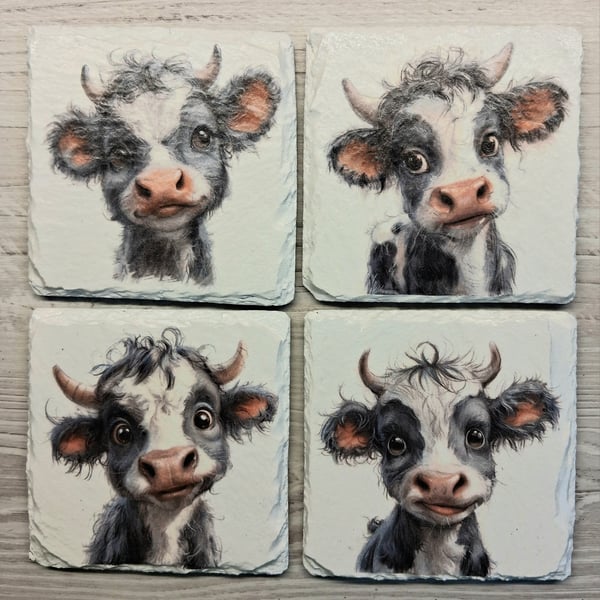 Funny Black and White Calves Decoupaged Slate Coasters Set of 4