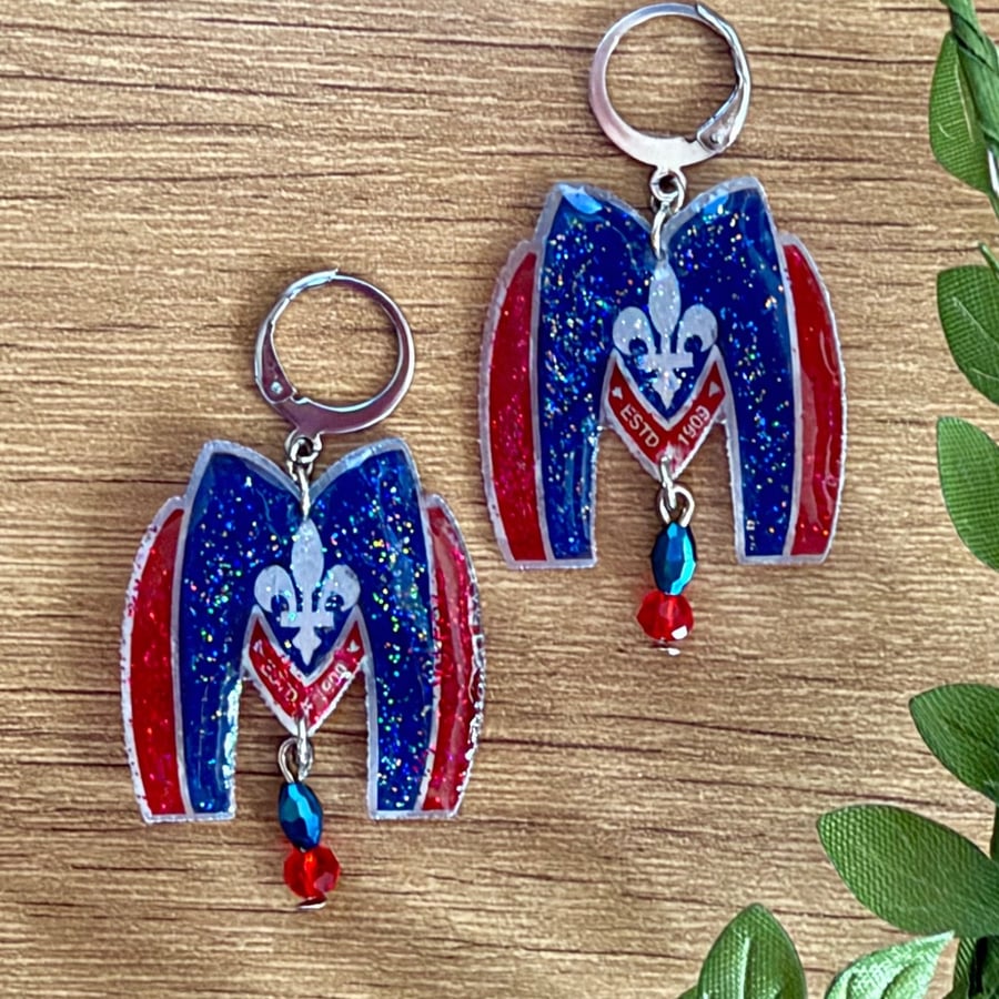 Ice Hockey Fan Earrings - Bookish Sports Merch Aesthetic Hoops