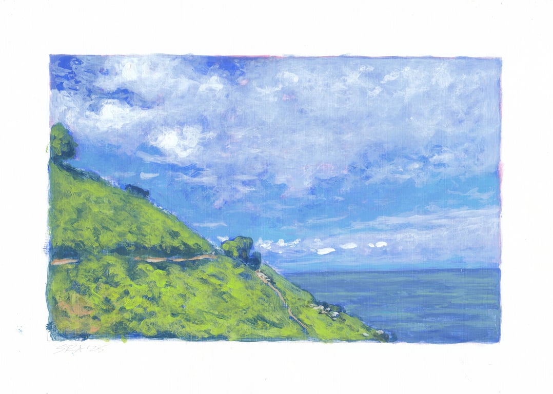 High Summer, North Devon