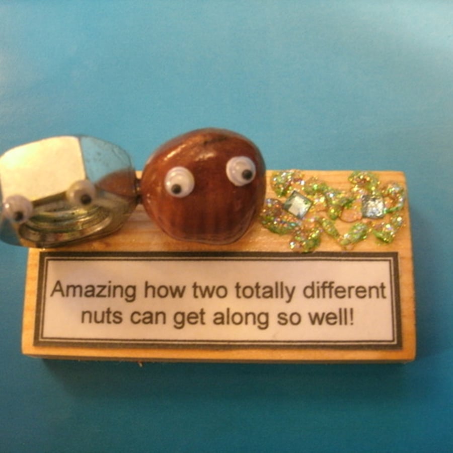 Nutty Gift - friends