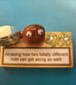 Nutty Gift - friends - Image 1