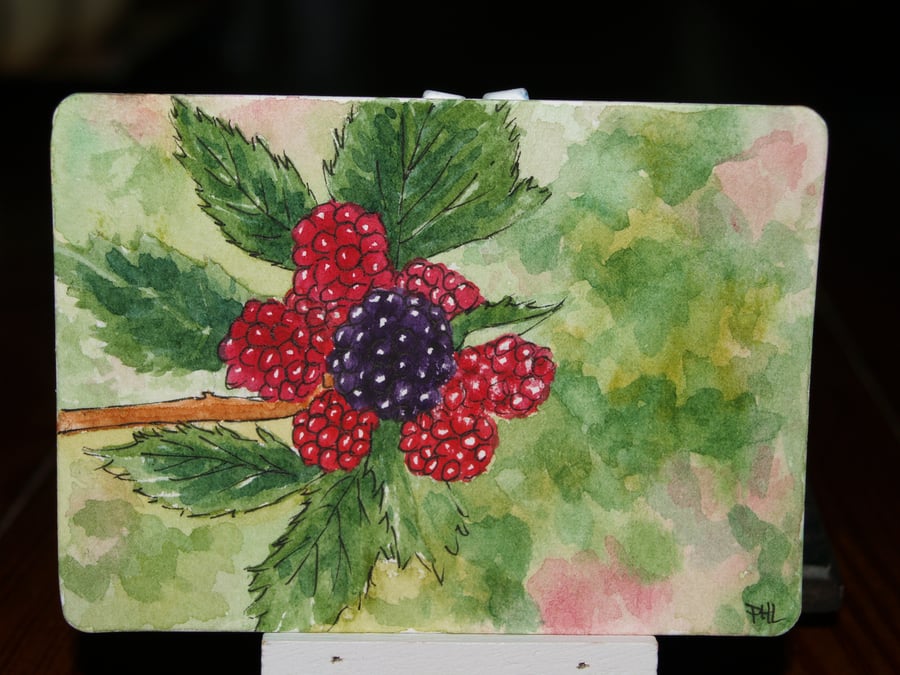 ACEO original First Ripe Blackberry of Autumn