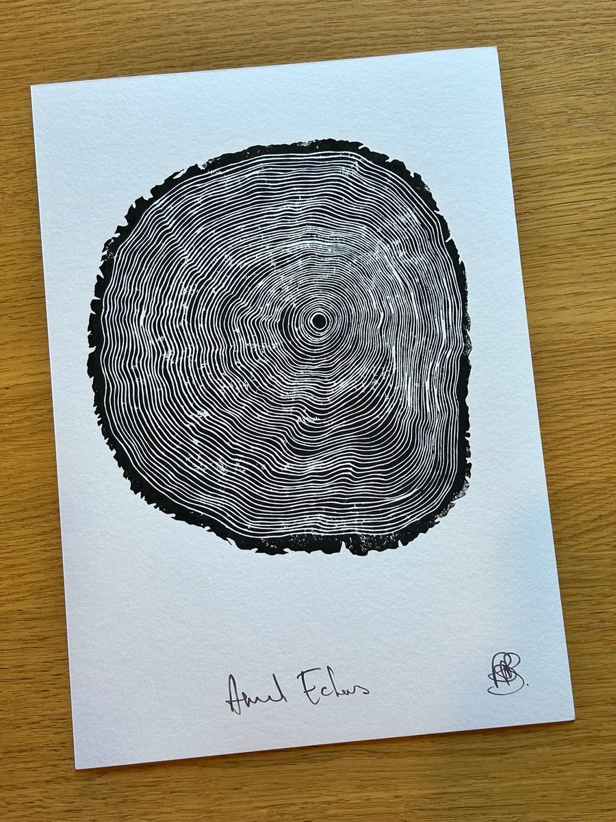 Annual Echoes - Handprinted Tree Rings linocut print. Black on white A4 card.