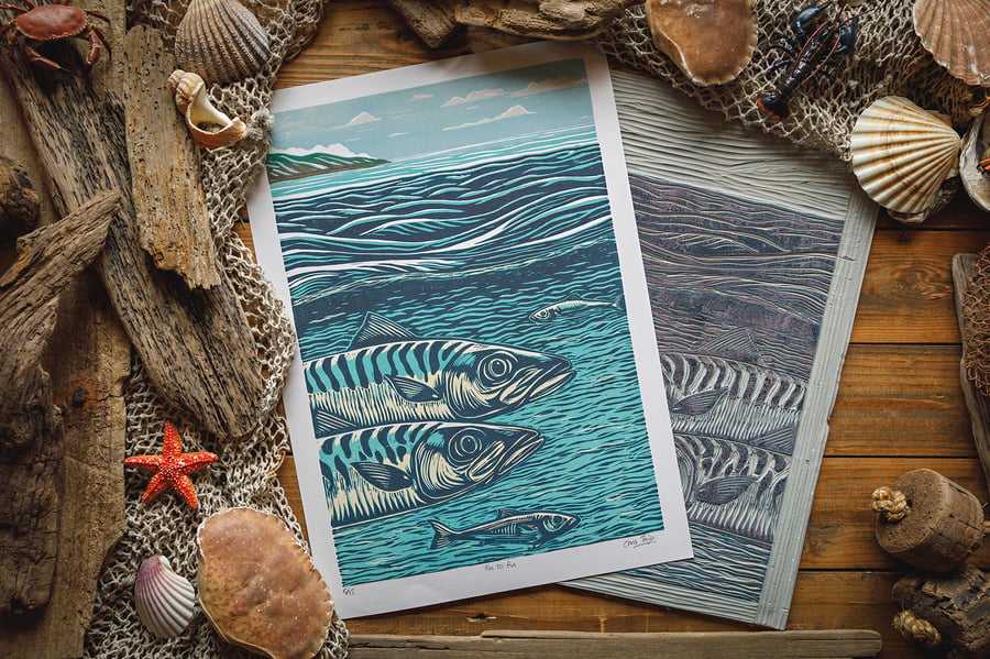 Fin to Fin - giclee print A3