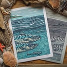 Fin to Fin - giclee print A3
