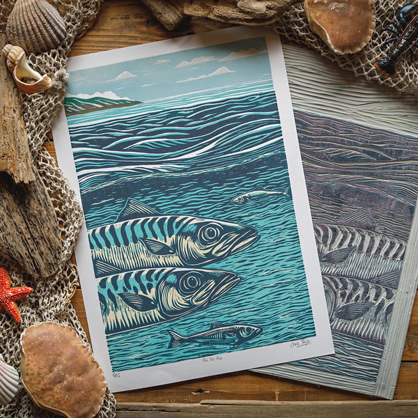 Fin to Fin - giclee print A3