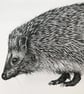 European hedgehog card - Image 3