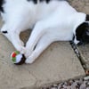 Xmas Pudding Catnip Kitten Cat Toy