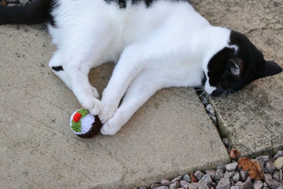 Xmas Pudding Catnip Kitten Cat Toy
